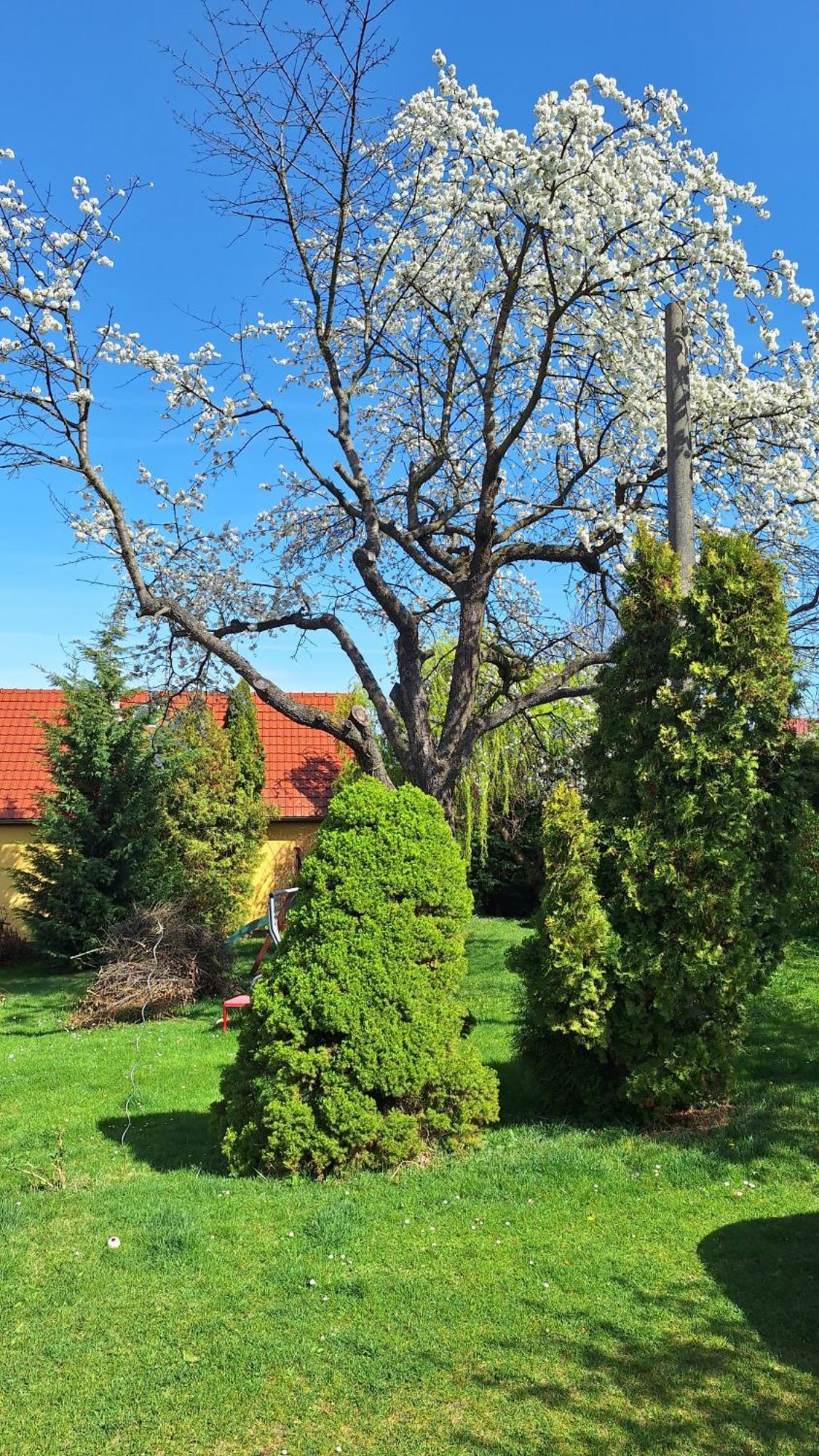 Prague Zbraslav Old Garden Apartment Exterior foto